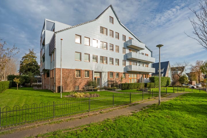 Cypergras 117 in 's-Gravenhage foto