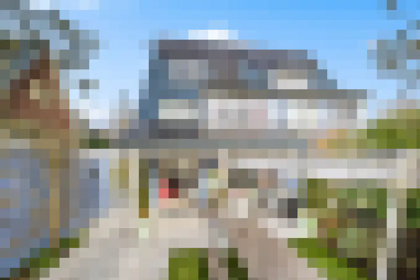 Cypergras 20 Den Haag thumbnail 22