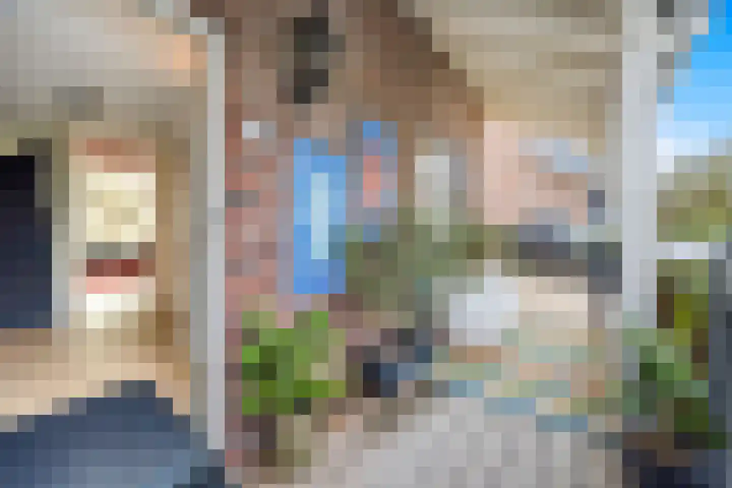 Cypergras 20 Den Haag thumbnail 6