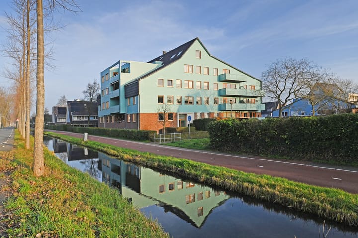 Cypergras 203 in 's-Gravenhage foto