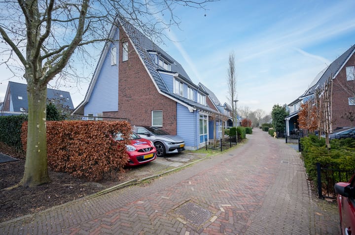 Cypergras 74 in 's-Gravenhage