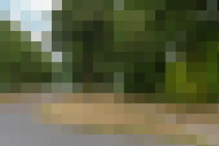 Cypergrasweg 1 A 1 Almere thumbnail 37