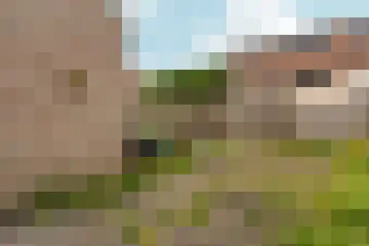 Cypergrasweg 26 Almere thumbnail 28