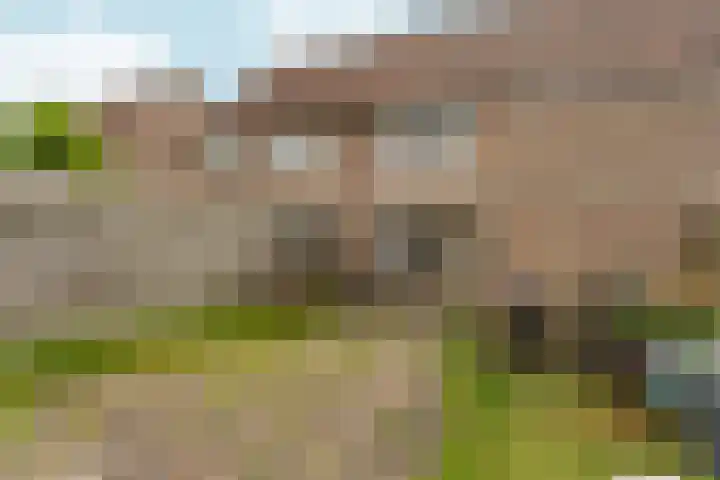 Cypergrasweg 26 Almere thumbnail 29