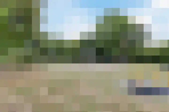 Cypressenstraat 27 Dorst thumbnail 32