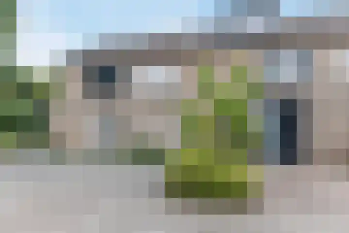 Cypressenstraat 27 Dorst thumbnail 34