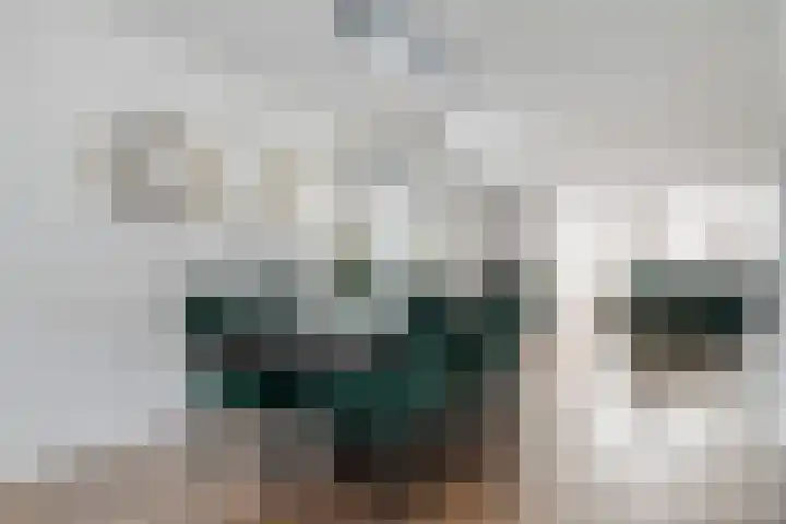Cyprus 14 Zoetermeer thumbnail 13