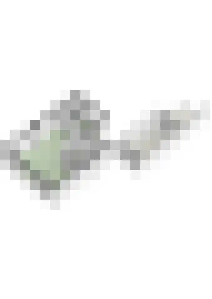 Cyprus 14 Zoetermeer thumbnail 32