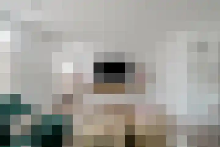Cyprus 14 Zoetermeer thumbnail 6