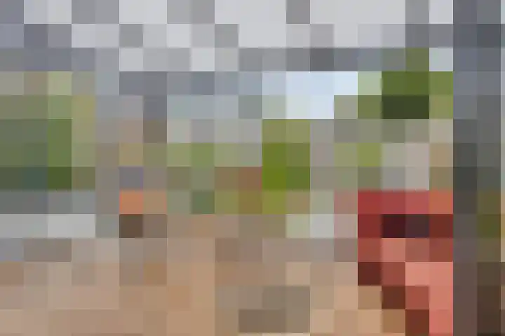 d'n Hof 60 Overloon thumbnail 18