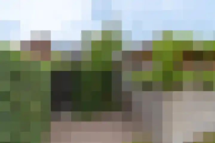 d'n Hof 74 Overloon thumbnail 15