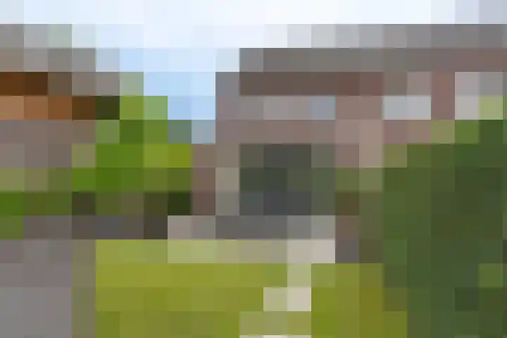 d'n Hof 74 Overloon thumbnail 16