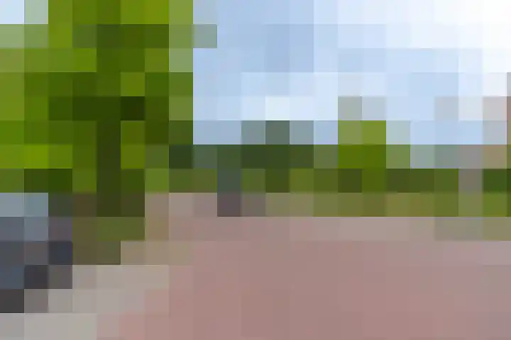 d'n Hof 74 Overloon thumbnail 5