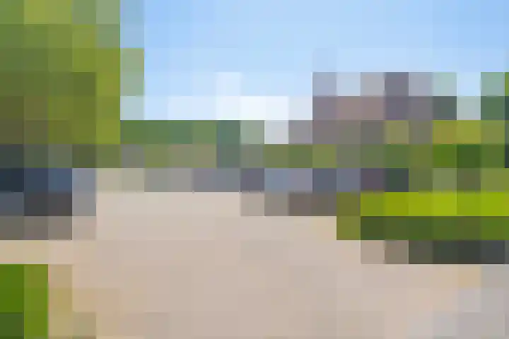D'n Tip 14 Langenboom thumbnail 27