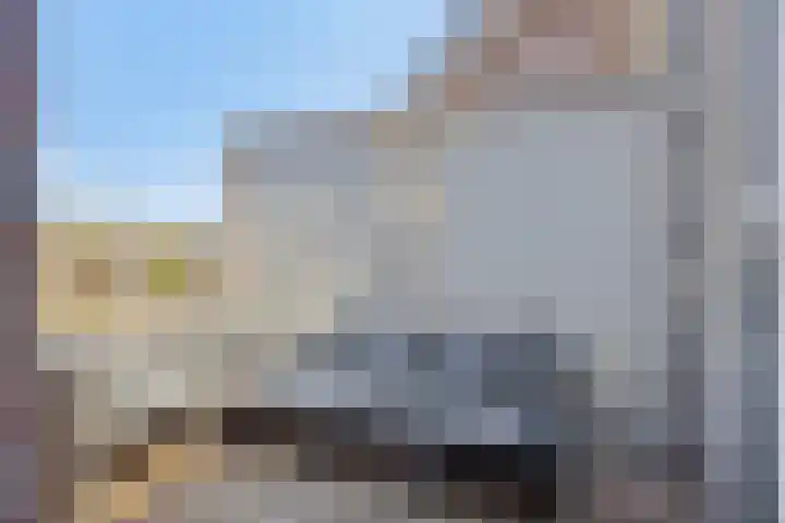 D'n Tip 14 Langenboom thumbnail 5