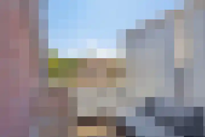 D'n Tip 14 Langenboom thumbnail 6