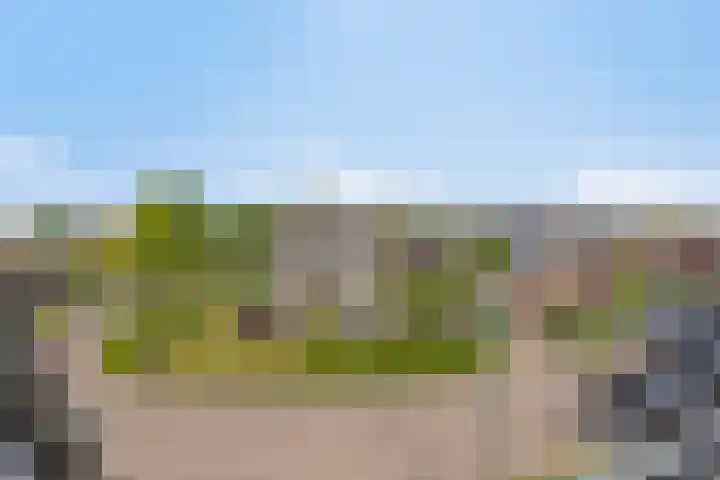 D'n Tip 14 Langenboom thumbnail 7