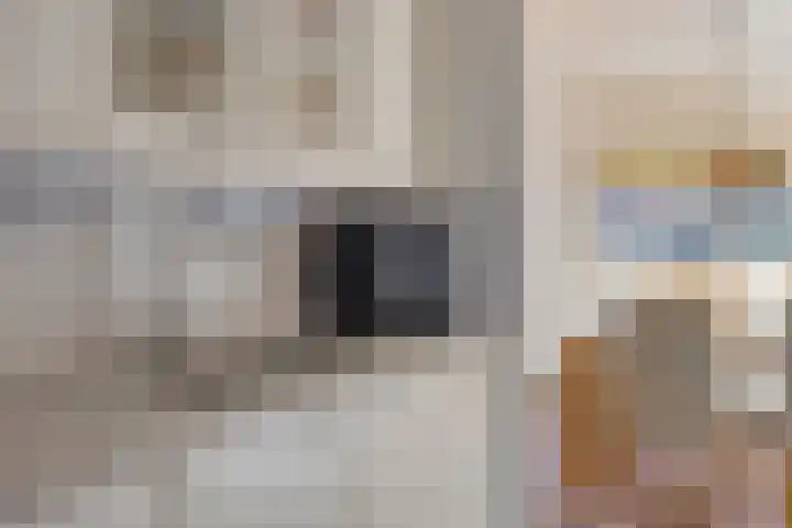 D. Schellincxstraat 31 Spijkenisse thumbnail 12