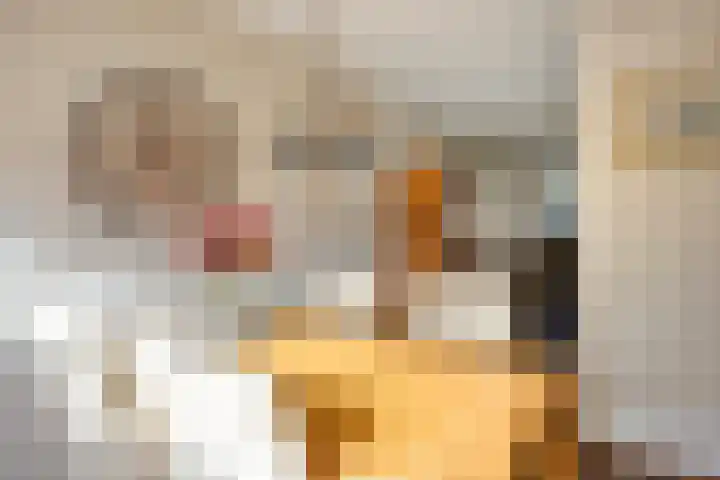 D. Schellincxstraat 31 Spijkenisse thumbnail 15