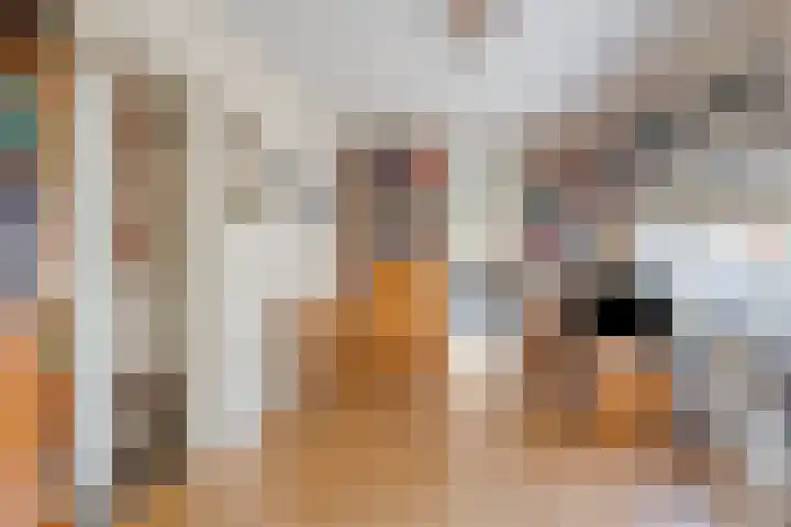 D. Schellincxstraat 31 Spijkenisse thumbnail 17