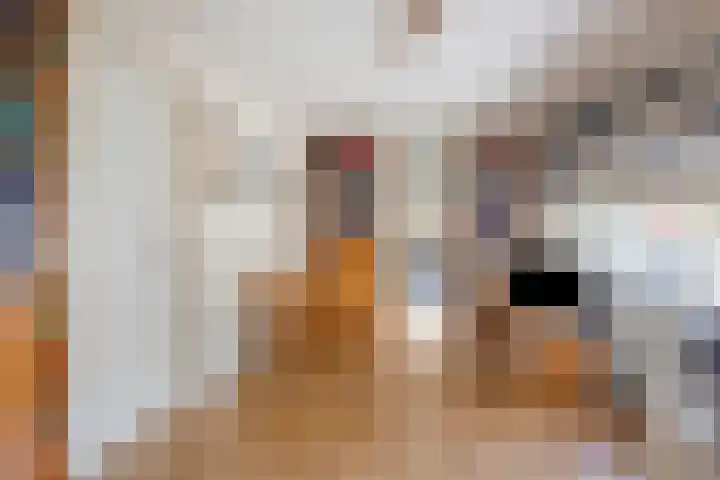 D. Schellincxstraat 31 Spijkenisse thumbnail 18