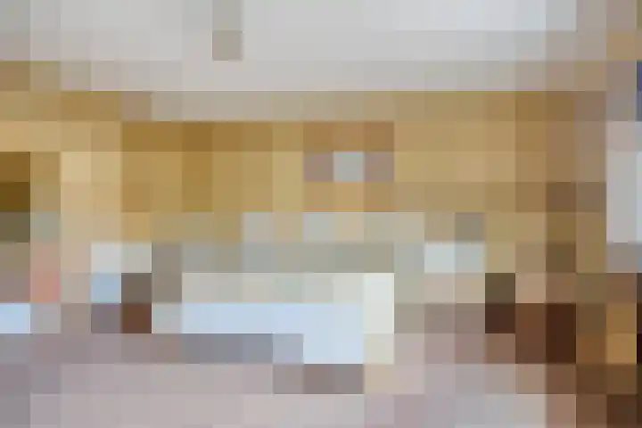 D. Schellincxstraat 31 Spijkenisse thumbnail 25
