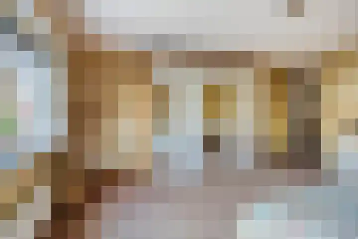 D. Schellincxstraat 31 Spijkenisse thumbnail 27