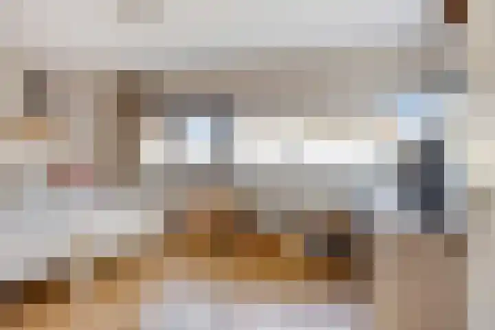 D. Schellincxstraat 31 Spijkenisse thumbnail 31