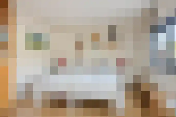 D. Schellincxstraat 31 Spijkenisse thumbnail 32