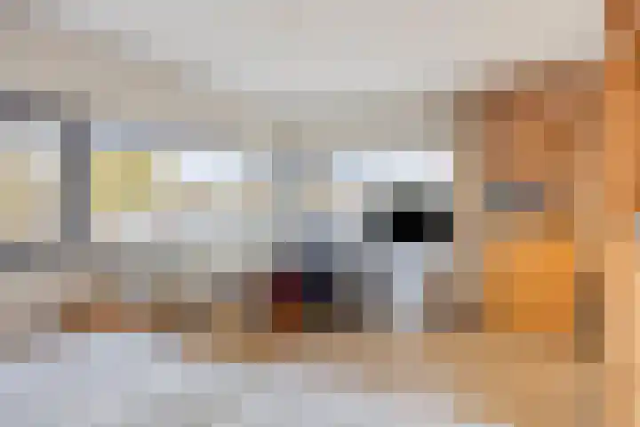 D. Schellincxstraat 31 Spijkenisse thumbnail 33