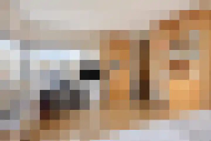 D. Schellincxstraat 31 Spijkenisse thumbnail 34