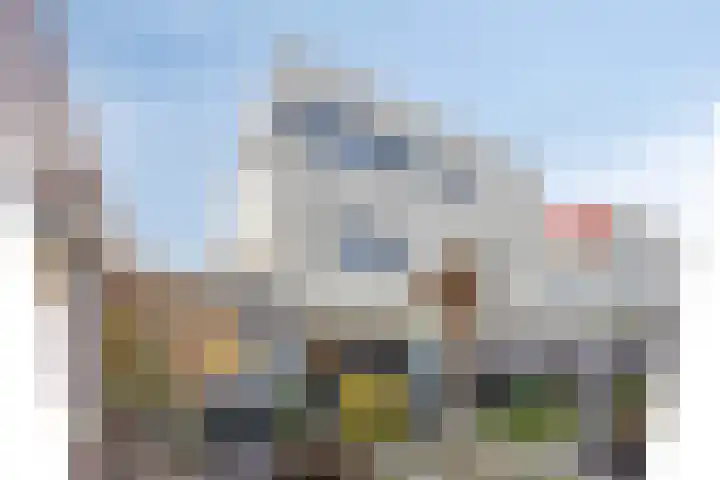 D. Schellincxstraat 31 Spijkenisse thumbnail 36