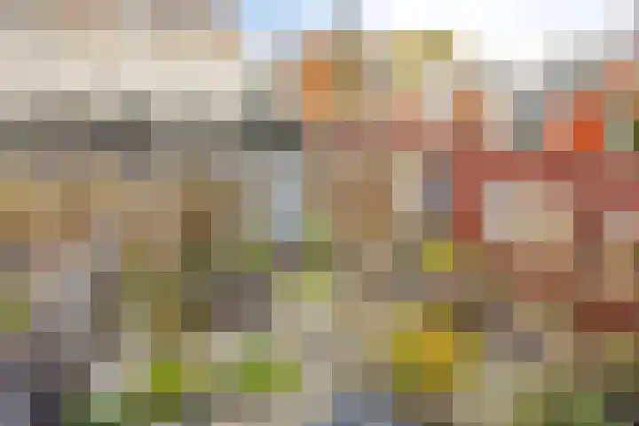 D. Schellincxstraat 31 Spijkenisse thumbnail 37