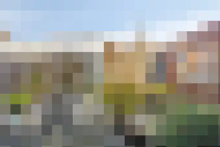 D. Schellincxstraat 31 Spijkenisse thumbnail 39