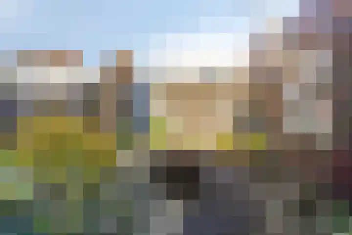 D. Schellincxstraat 31 Spijkenisse thumbnail 40