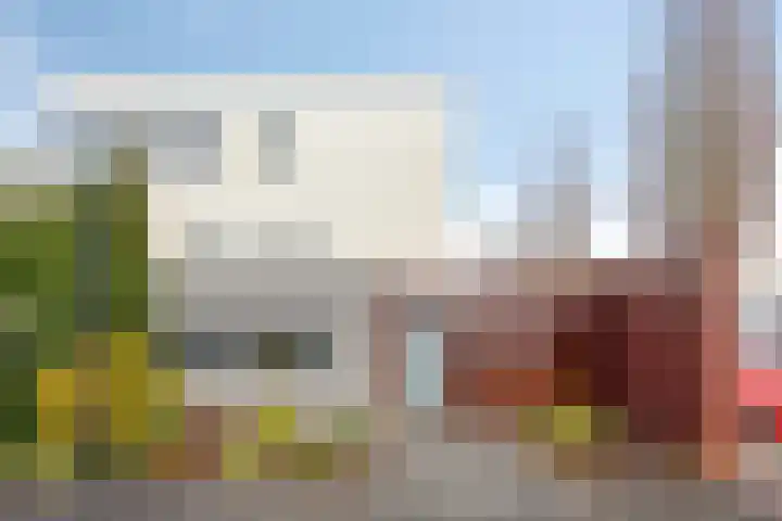 D. Schellincxstraat 31 Spijkenisse thumbnail 41