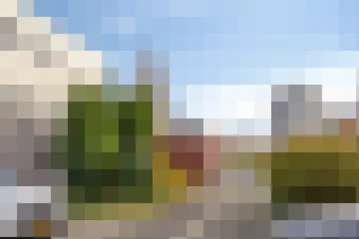 D. Schellincxstraat 31 Spijkenisse thumbnail 43