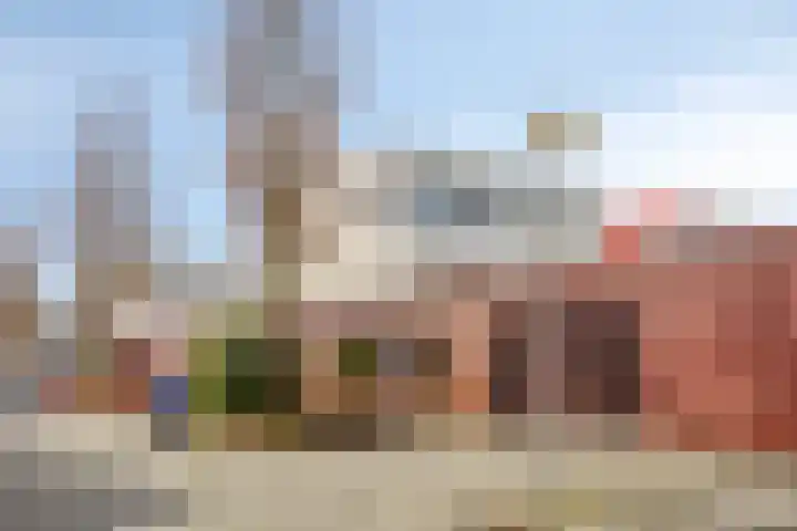 D. Schellincxstraat 31 Spijkenisse thumbnail 44