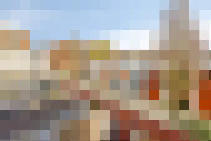 D. Schellincxstraat 31 Spijkenisse thumbnail 47