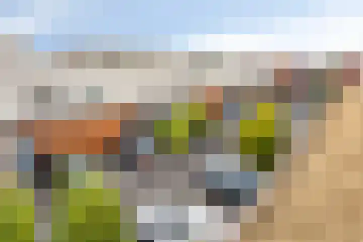 D. Schellincxstraat 31 Spijkenisse thumbnail 48