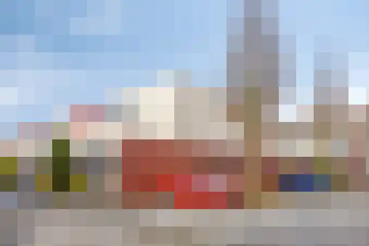 D. Schellincxstraat 31 Spijkenisse thumbnail 49