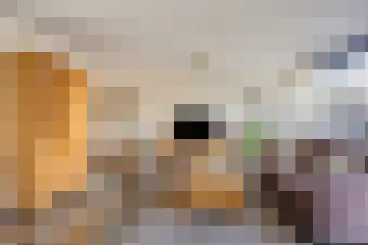 D. Schellincxstraat 31 Spijkenisse thumbnail 5