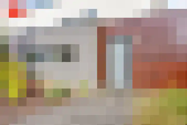 D. Schellincxstraat 31 Spijkenisse thumbnail 53