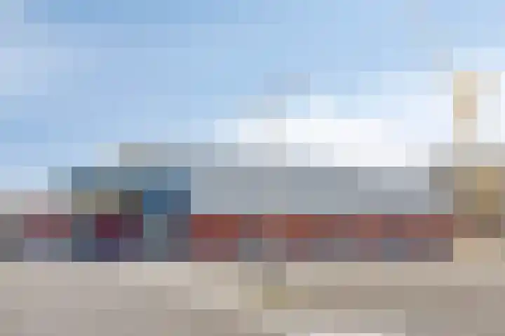 D. Schellincxstraat 31 Spijkenisse thumbnail 55