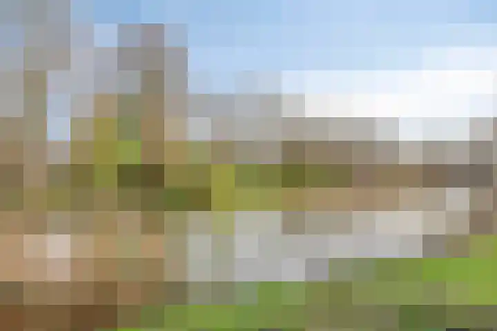 D. Schellincxstraat 31 Spijkenisse thumbnail 57