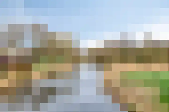 D. Schellincxstraat 31 Spijkenisse thumbnail 59