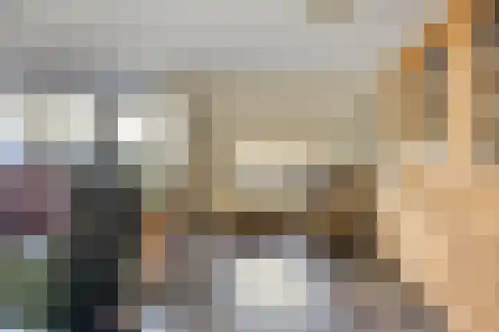 D. Schellincxstraat 31 Spijkenisse thumbnail 6