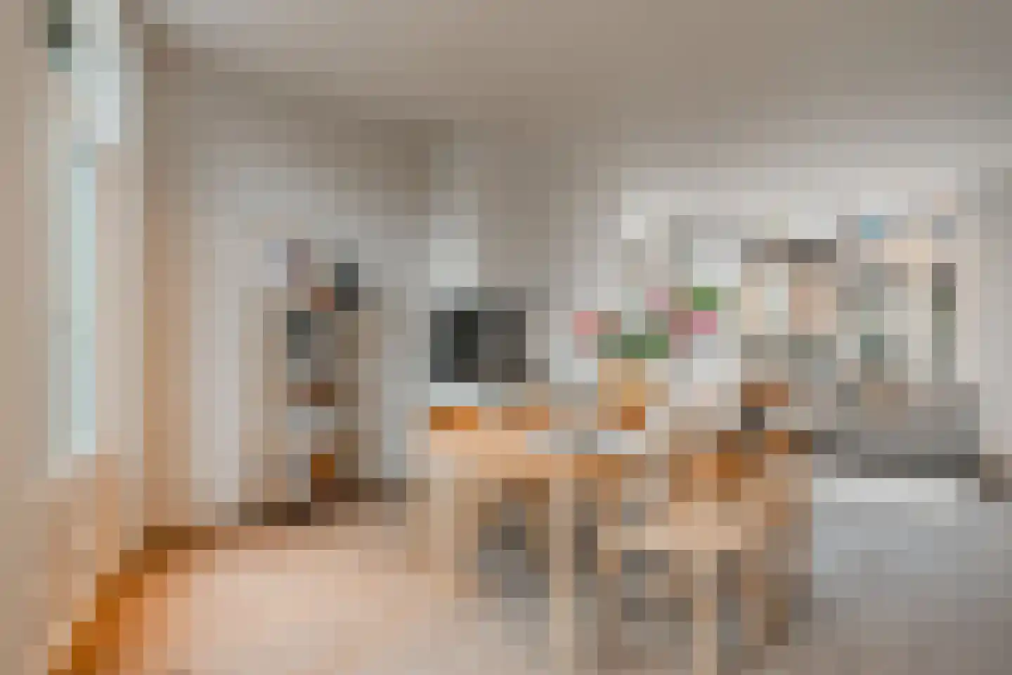 Da Costakade 13 2 Amsterdam thumbnail 11