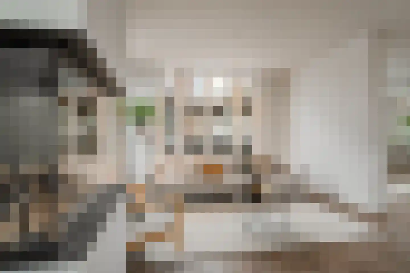 Da Costakade 13 2 Amsterdam thumbnail 12