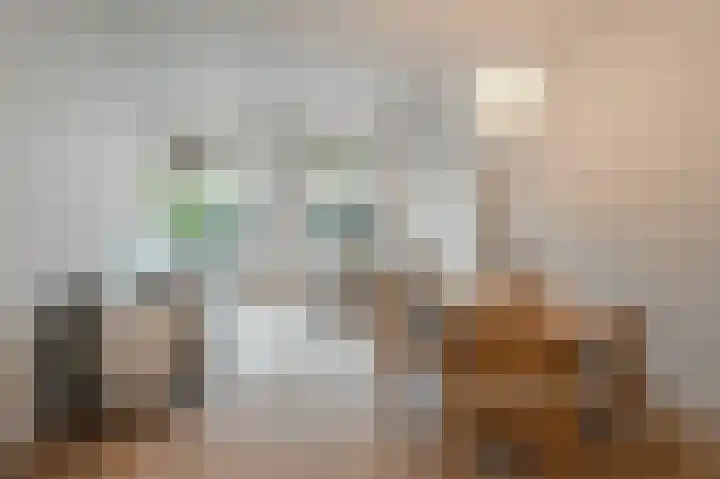 Da Costakade 13 H Amsterdam thumbnail 10